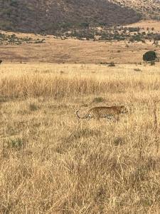 Pilanesberg - 20251014.jpg