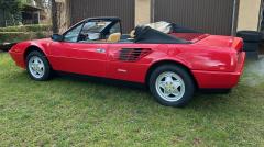 IMG_7572 - Kopie.jpg