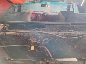 Motorraum vorher.jpg