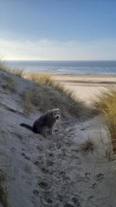 Screenshot 2026-02-25 214548.jpg