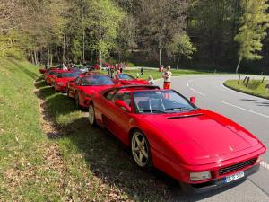 Groß (IMG_2747).jpeg