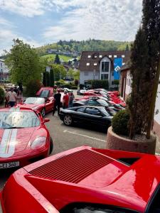 Groß (IMG_2778).jpeg