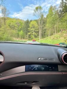 Groß (IMG_4529).jpeg