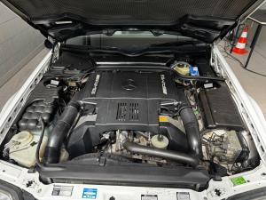 IMG_1585.thumb.jpeg.f3b47f2bbfe4dae76b3ae014ea472c32.jpeg