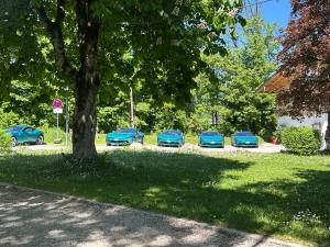 IMG_5097.jpeg