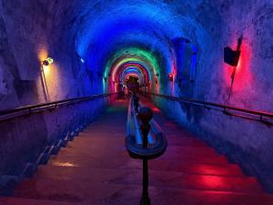 IMG_6278.jpeg
