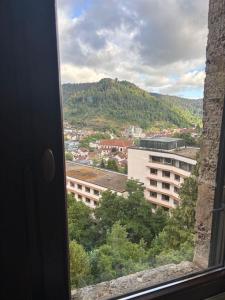 IMG_2268.thumb.jpeg.6095b253df6776bd1181b303c7c1bf30.jpeg