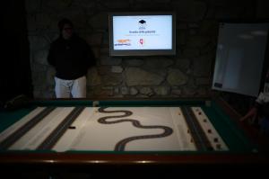 IMG_3150.thumb.jpeg.b5f2db2c94cad3bf464784c8c010d095.jpeg