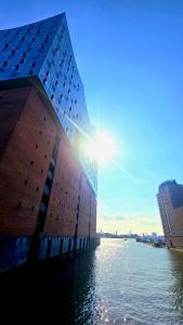 FF812SF_15_172142.thumb.jpg.d831db5f2b9c2bc505075abde635ce07.jpg
