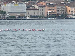 IMG_5183.jpeg