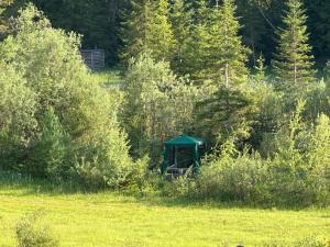 IMG_5323.jpeg