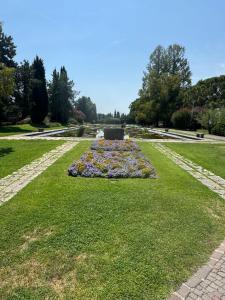 IMG_5357.jpeg