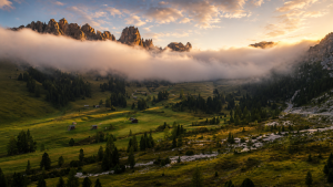 GoldeneBerggipfelberdemNebeltal.thumb.png.cec4ba439bf29f5909800b370e566705.png