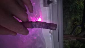 IMG-20260819-WA0021.thumb.jpeg.7288e7f28e5c25034b77fdb8b3db4e6a.jpeg