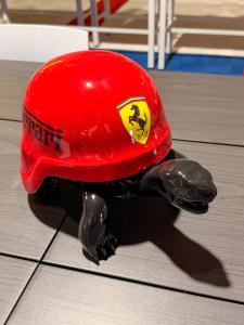 IMG_7523_2048px_o_de.jpg