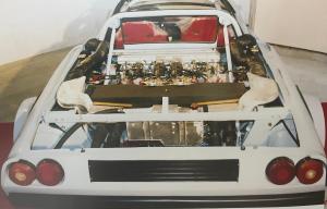 IMG_6113.jpeg