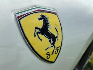 IMG_8785.jpeg